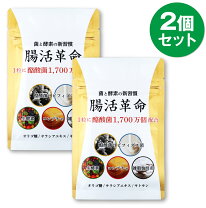 楽天市場】腸内フローラの通販