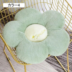 zc   NbV `FApbh  zc  ۂ   _炩 50cm ItBX fG _炩 tANbV T|[g NbV \t@  p J[