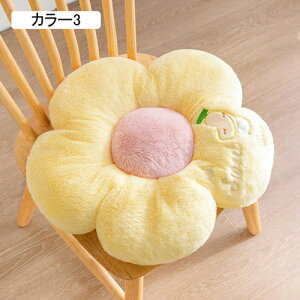 zc NbV ᔽx k  zc tANbV lp  tA NbV 傫  zc NbV J[5 zc 50cm tANbV 