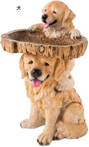 K[fI[ig ̋a  u AEghA JCC  I[ig u h ϋv |G CeA A v[g x_ 뉀 O  ʂ 12.5*