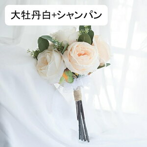 ԉŃu[P `[bv ԑ  [J Ԃ݂ u[P u[PgX VNt[ ԉ EGfBOu[P  Be p[eB[ j VN p 뉀 Lb` 