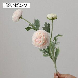  O {^̉ԑ u[P g ͂Ȃ bsv A[gt[ tFCN lH CeA EGfBO e[u AW I[ig Be j v[g 