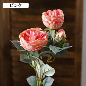  [Y tFCNt[ ỏԑ u[P ͂Ȃ Y }eBbN A[gt[ CeA LO o^C v[g j rO EGfBO   A