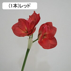 Nq  tFCNt[ ԑ u[P ͂Ȃ Y tFCNt[ A[gt[ CeA rO  ItBX   AW Be ] ސE v[g j