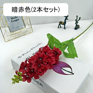 2{Zbg A[gt[  X~ ͂Ȃ k ԑ { tFCNt[ EFfBO u[P   CeA u p[eB[  a  