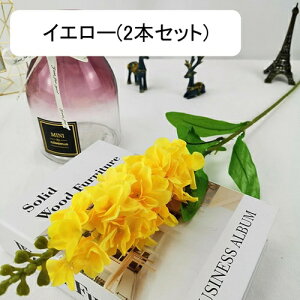 2{Zbg A[gt[  X~ ͂Ȃ k ԑ { tFCNt[ EFfBO u[P   CeA u p[eB[  a  