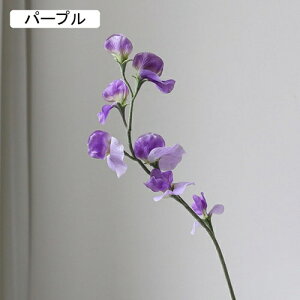  GhẺ A[gt[ lH ͂Ȃ tFCNt[ CeA k I[ig AW  u p[eB[  EFfBO fR[V j v