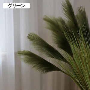 ۂ̑  tFCNO[ i` ͂Ȃ bsv Y 傫 A[gt[ CeA x_    AW Be x[W