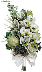 EFfBO u[P ԉŃu[P uC_u[P  u[PgX ԏ VNt[ ԑ ԉ  Be p[eB[ j VN INS ʐ^Be Ԃ݂ bsv  v