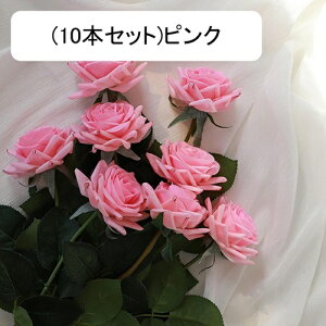  [Y tFCN ỏԑ u[P ͂Ȃ bsv A[gt[ CeA LO ސE ̓ hV̓ v[g j rO EGfBO   AW I