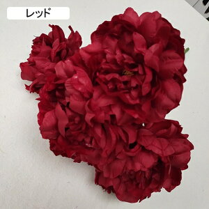 O  CeA A[gt[ ͂Ȃ ڂ ԑ A 51 tFCNt[ Ԃ̂ EFfBO lHԃu[P FI   i u p[eB[/iX/