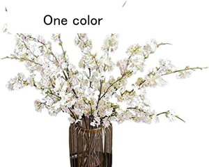 �� ���� �K�[�����h ������� �\���C���V�m ��} ���� ���� �t�F�C�N �C���e���A 2�{