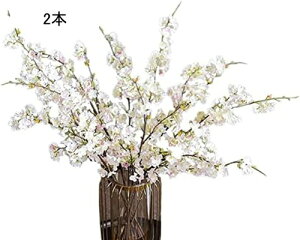 �� ���� �K�[�����h ������� �\���C���V�m ��} ���� ���� �t�F�C�N �C���e���A 2�{