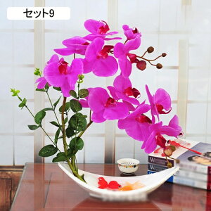 tFCNt[ Ӓ   ԑ ԃZbg u[P A[gt[ ͂Ȃ A ~ LC A CeA rO  u  JXj ̓v[g V