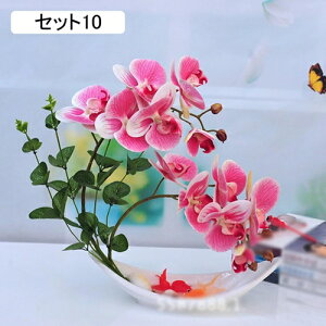 tFCNt[ Ӓ   ԑ ԃZbg u[P A[gt[ ͂Ȃ A ~ LC A CeA rO  u  JXj ̓v[g V