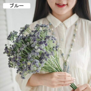  CeA 1{  Wv\tB ͂Ȃ A[gt[ ̓v[g Mtg 킢 j   X iX  p[eB[ a ԑ 蕨̉ lHϗtA