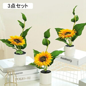  CeA  Ђ܂ ԃZbg tFCNt[ lH ~ Y k  Y e[u er fXN u  tFCNԔA Vzj ]j JXj