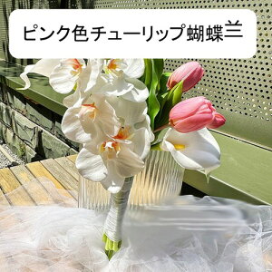 EGfBOu[P ԉŃu[P u[PgX `[bv k tFCNt[  ԑ v|[Y  uC_ j f Be Gߏ Ԃ݂ bsv Ce