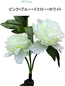 \[[Cg 뉀Cg O  tFCNt[ 3 4{ uCg _ drsv h H|i ԑ J[ dF 뉀 b   O AEghA K[f fR