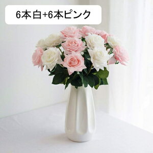  CeA o KN 10{ IW ͂Ȃ A[gt[ ̓v[g Mtg 킢 j   X iX  p[eB[ a ԑ 蕨̉ lH