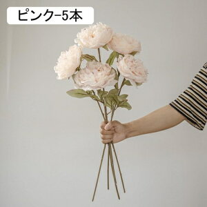 O  CeA tFCNt[ VNt[ sv ͂Ȃ A[gt[ t[AW k A  ƒ둕 DIY ԑ u[P Be X܏ EFfB