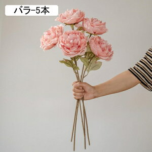 O  CeA tFCNt[ VNt[ sv ͂Ȃ A[gt[ t[AW k A  ƒ둕 DIY ԑ u[P Be X܏ EFfB