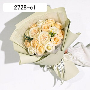 \[vt[ ԃu[P  o ԑ t[Mtg Êj  ԃu[P hV̓ 蕨 MtgBOX ObY 搶̓ ̂ o^C t[{bNX 60