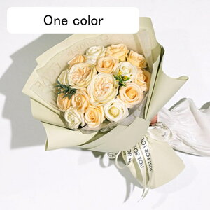 \[vt[ ԃu[P  o ԑ t[Mtg Êj  ԃu[P hV̓ 蕨 MtgBOX ObY 搶̓ ̂ o^C t[{bNX 60