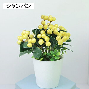 tFCNO[ x[ lHϗtA  A ~  ~j CeA   p Vzj ̓ Mtg Ղ 蕨 ItBX z[ e[u u