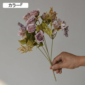   ԑ CeA  KN 1 ͂Ȃ Q   ItBX ̓  a j JXj  EFfBO p[eB[ v[g ʐ^ A[g