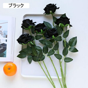  CeA o KN 5{  ͂Ȃ A[gt[ ̓v[g Mtg 킢 j   X iX  p[eB[ a ԑ 蕨̉ lHϗtA