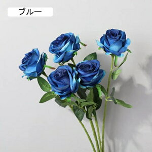  CeA o KN 5{  ͂Ȃ A[gt[ ̓v[g Mtg 킢 j   X iX  p[eB[ a ԑ 蕨̉ lHϗtA