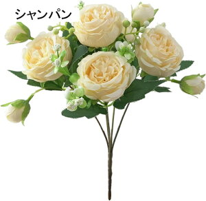   ԑ CeA  O ͂Ȃ Q   ItBX ̓  a j JXj  EFfBO p[eB[ v[g ʐ^ A[gt