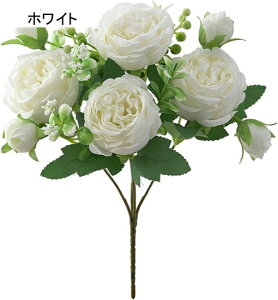   ԑ CeA  O ͂Ȃ Q   ItBX ̓  a j JXj  EFfBO p[eB[ v[g ʐ^ A[gt