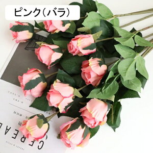  CeA F 10{ [Y o KN ͂Ȃ A[gt[ ̓v[g Mtg 킢 j   X iX  p[eB[ a ԑ 蕨̉