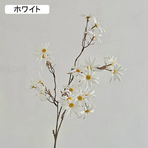   CeA  fCW[ 1{ ͂Ȃ Q   ItBX ̓  a j JXj  EFfBO p[eB[ v[g ʐ^ A[gt