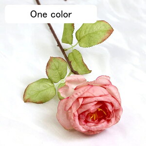   CeA  o 1{ ͂Ȃ Q   ItBX ̓  a j JXj  EFfBO p[eB[ v[g ʐ^ A[gt