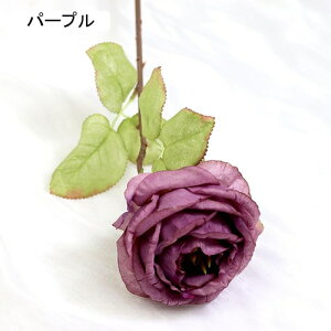   CeA  o 1{ ͂Ȃ Q   ItBX ̓  a j JXj  EFfBO p[eB[ v[g ʐ^ A[gt