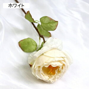   CeA  o 1{ ͂Ȃ Q   ItBX ̓  a j JXj  EFfBO p[eB[ v[g ʐ^ A[gt