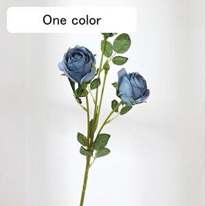   CeA  KN 1{ ͂Ȃ Q   ItBX ̓  a j JXj  EFfBO p[eB[ v[g ʐ^ A[gt