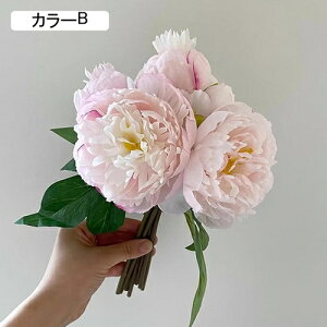   ԑ CeA  O ͂Ȃ Q   ItBX ̓  a j JXj  EFfBO p[eB[ v[g ʐ^ A[gt