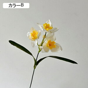   CeA  ̉ 1{ ͂Ȃ Q   ItBX ̓  a j JXj  EFfBO p[eB[ v[g ʐ^ A[gt