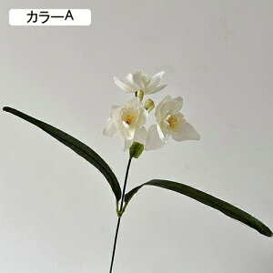   CeA  ̉ 1{ ͂Ȃ Q   ItBX ̓  a j JXj  EFfBO p[eB[ v[g ʐ^ A[gt