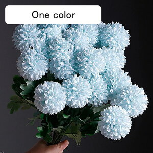  CeA s|e 10{ F ͂Ȃ A[gt[ ̓v[g Mtg 킢 j   X iX  p[eB[ a ԑ 蕨̉ lHϗtA