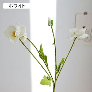   CeA  1{ ͂Ȃ Q   ItBX ̓  a j JXj  EFfBO p[eB[ v[g ʐ^ A[gt[ 