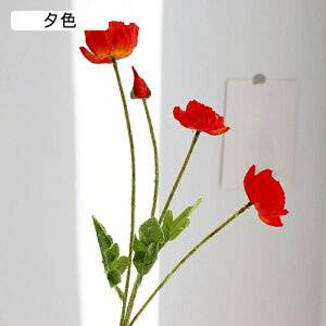   CeA  1{ ͂Ȃ Q   ItBX ̓  a j JXj  EFfBO p[eB[ v[g ʐ^ A[gt[ 