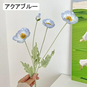   CeA  1{ ͂Ȃ Q   ItBX ̓  a j JXj  EFfBO p[eB[ v[g ʐ^ A[gt[ 