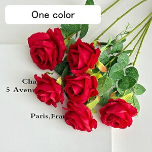   CeA  o 6{ ͂Ȃ Q   ItBX ̓  a j JXj  EFfBO p[eB[ v[g ʐ^ A[gt