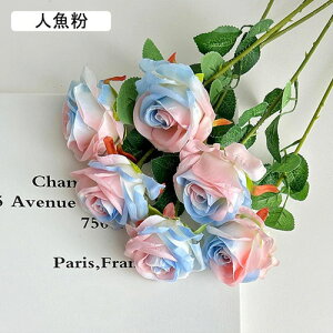   CeA  o 6{ ͂Ȃ Q   ItBX ̓  a j JXj  EFfBO p[eB[ v[g ʐ^ A[gt