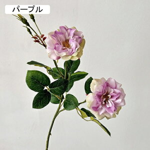   CeA  KN 1{ ͂Ȃ Q   ItBX ̓  a j JXj  EFfBO p[eB[ v[g ʐ^ A[gt